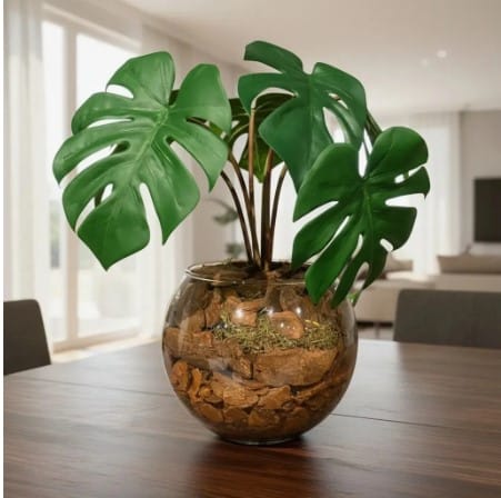 Jardim afetivo com plantas tradicionais da casa da avó